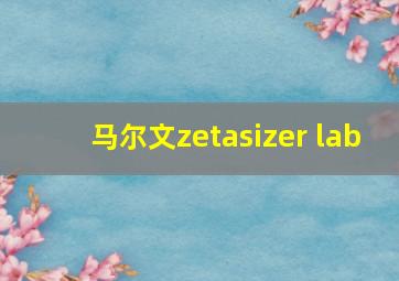 马尔文zetasizer lab